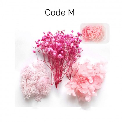 Box of Natural Dried Flowers for Soap, Candle, Frame Decor DIY | Bunga Kering untuk DIY Bingkai, Mas Kahwin